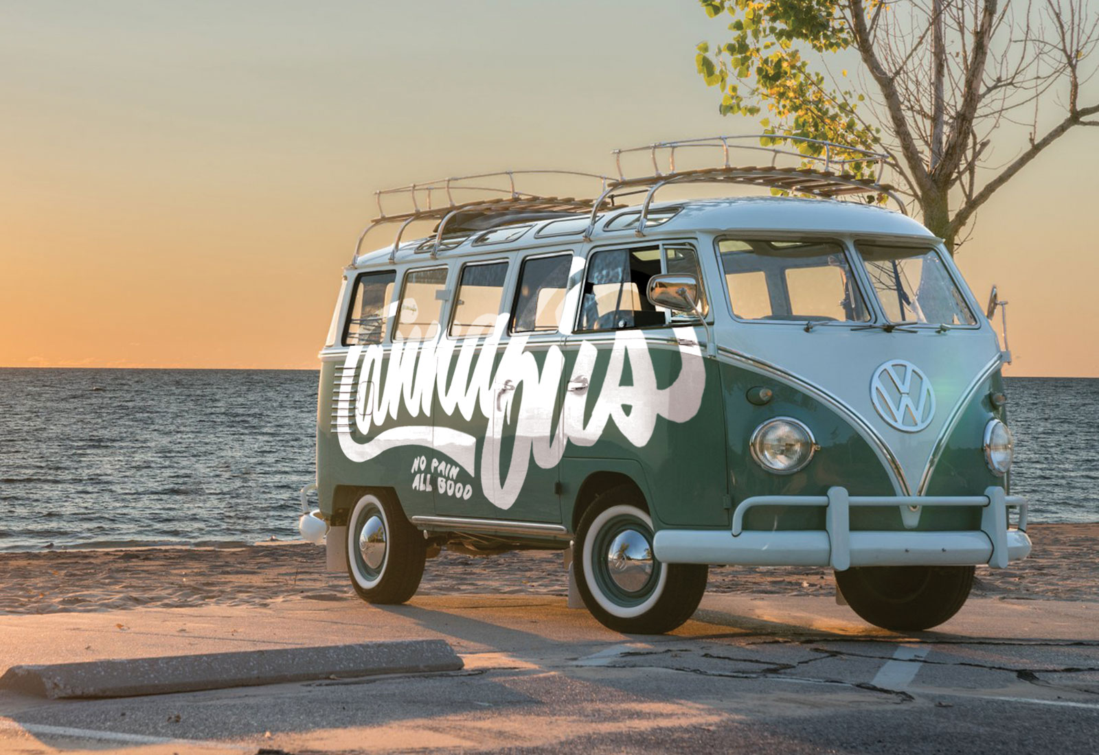 Cannabliss branded Volkswagen van demonstrating brand identity design