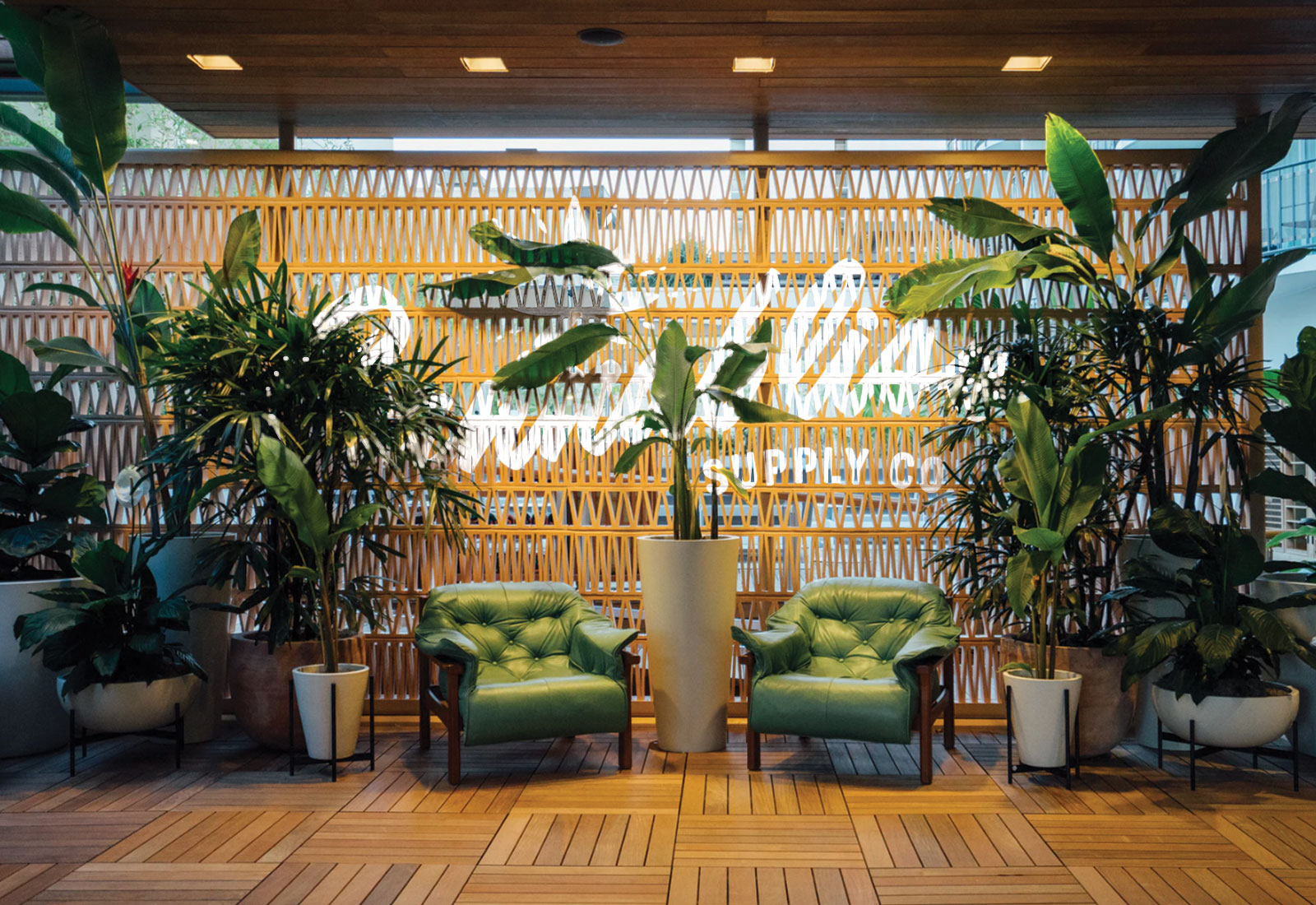 Cannabliss store interior showcasing brand identity design