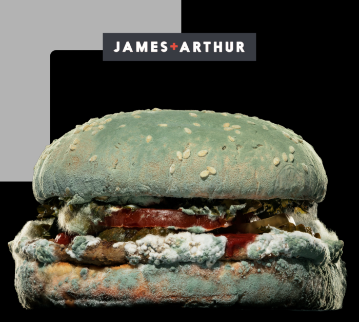 Burger King’s Moldy Whopper Campaign: A Bold Move in Marketing