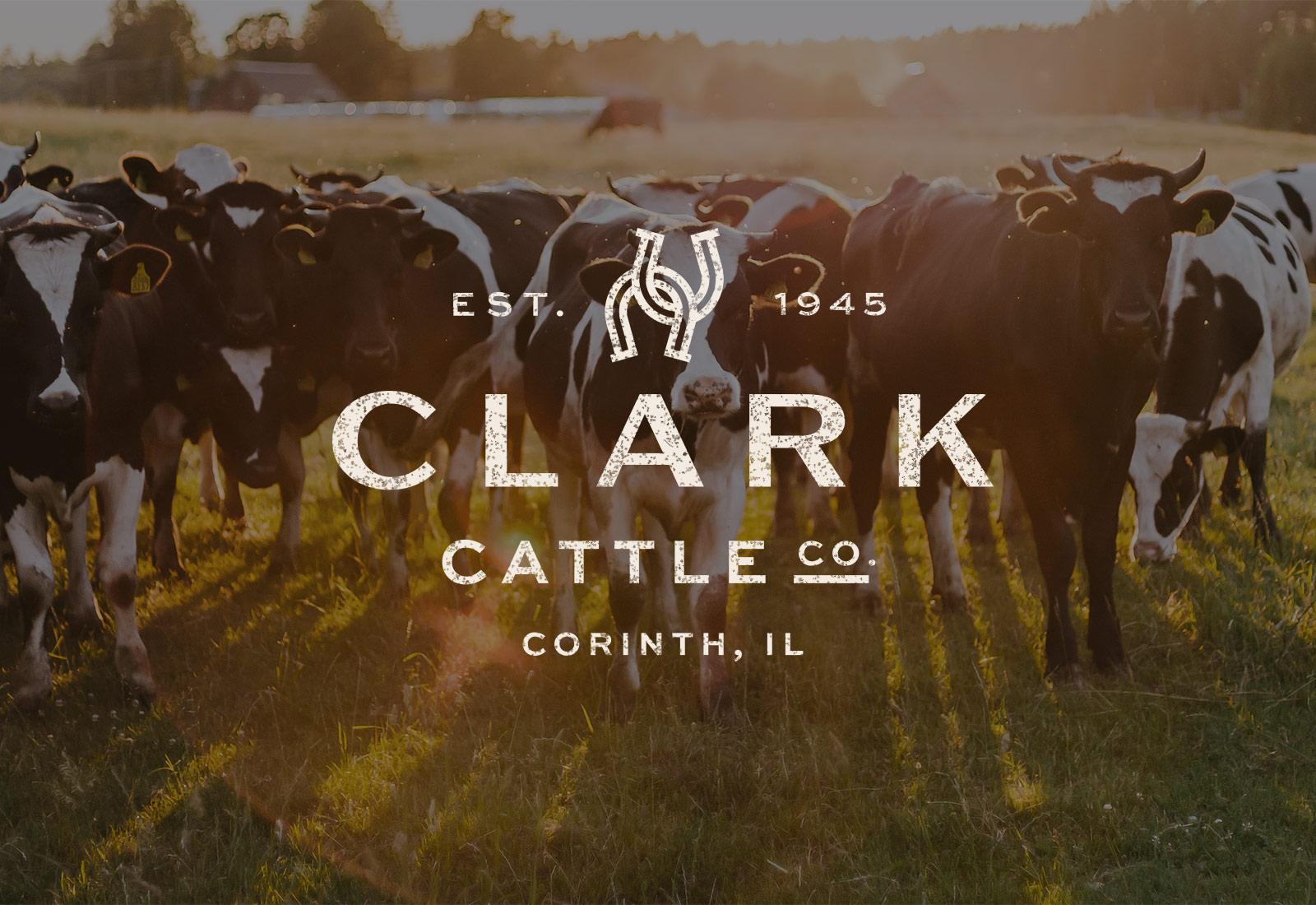 Clark Cattle Co. logo over cattle image showcasing farm website design